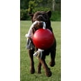 thumbnail image 2 of Juguete de Cuerda y Bola Jolly Pets Naranja 20,32 cm para Perro, 2 of 4
