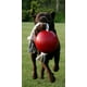 thumbnail image 2 of Juguete de Cuerda y Bola Jolly Pets Naranja 20,32 cm para Perro, 2 of 4