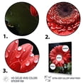 thumbnail image 3 of Designart "Blooming Red Daisies Nature s Beauty I" Floral Floater Framed Canvas Wall Art, 3 of 7