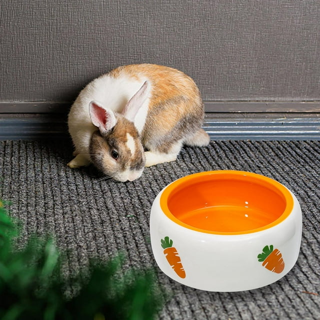 Comedero de conejo, cuenco de cerámica para hámster, dispensador de alimentos, cuenco de alimentación, cuenco de agua para erizo, animales pequeños, 11 cm x 45 cm redondo Salvador Comedero para conejos