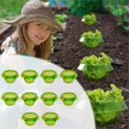 thumbnail image 2 of 10-Pack Plant Protectors for Garden Vegetables - Snail Barrier Collars, 2 of 5