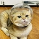 thumbnail image 5 of Funda ajustable para gatos, boca transpirable para evitar que el gato muerda y mastique., 5 of 5