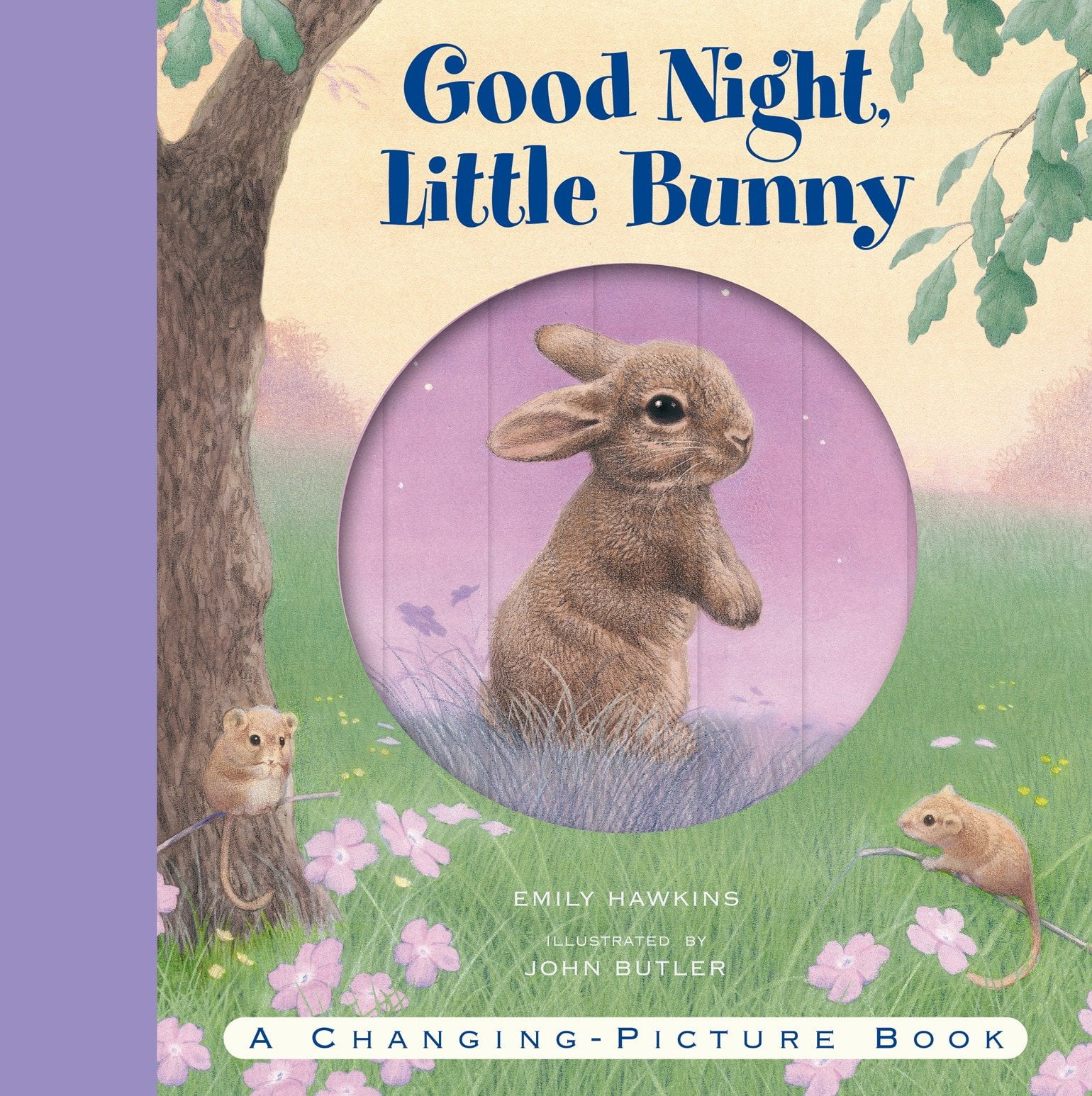 Changing Picture Books Good Night, Little Bunny (Hardcover)