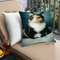 thumbnail image 1 of Ahgly Company Cat Cats Outdoor Throw Pillow, 18 inch by 18 inch, 1 of 6