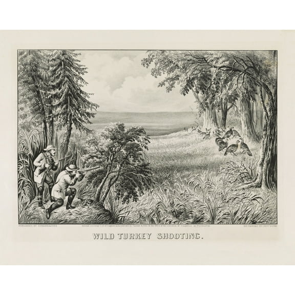 Print: Wild Turkey Shooting, 1871