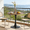31.5" Walnut+Black, variant on StnTalk 31.5" Round Dining Table, Modern Tulip Kitchen Table for 2-4, Small Space Pedestal Dining Table with MDF Top for Apartment Dining Room