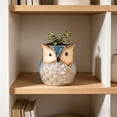thumbnail image 4 of Cute Owl Ceramic Planter 2.6 Inch, Small Succulent Cactus Flower Pot for Indoor Outdoor Home Office Decor, Animal Style Tabletop Garden Decor Pot Gift, 4 of 6