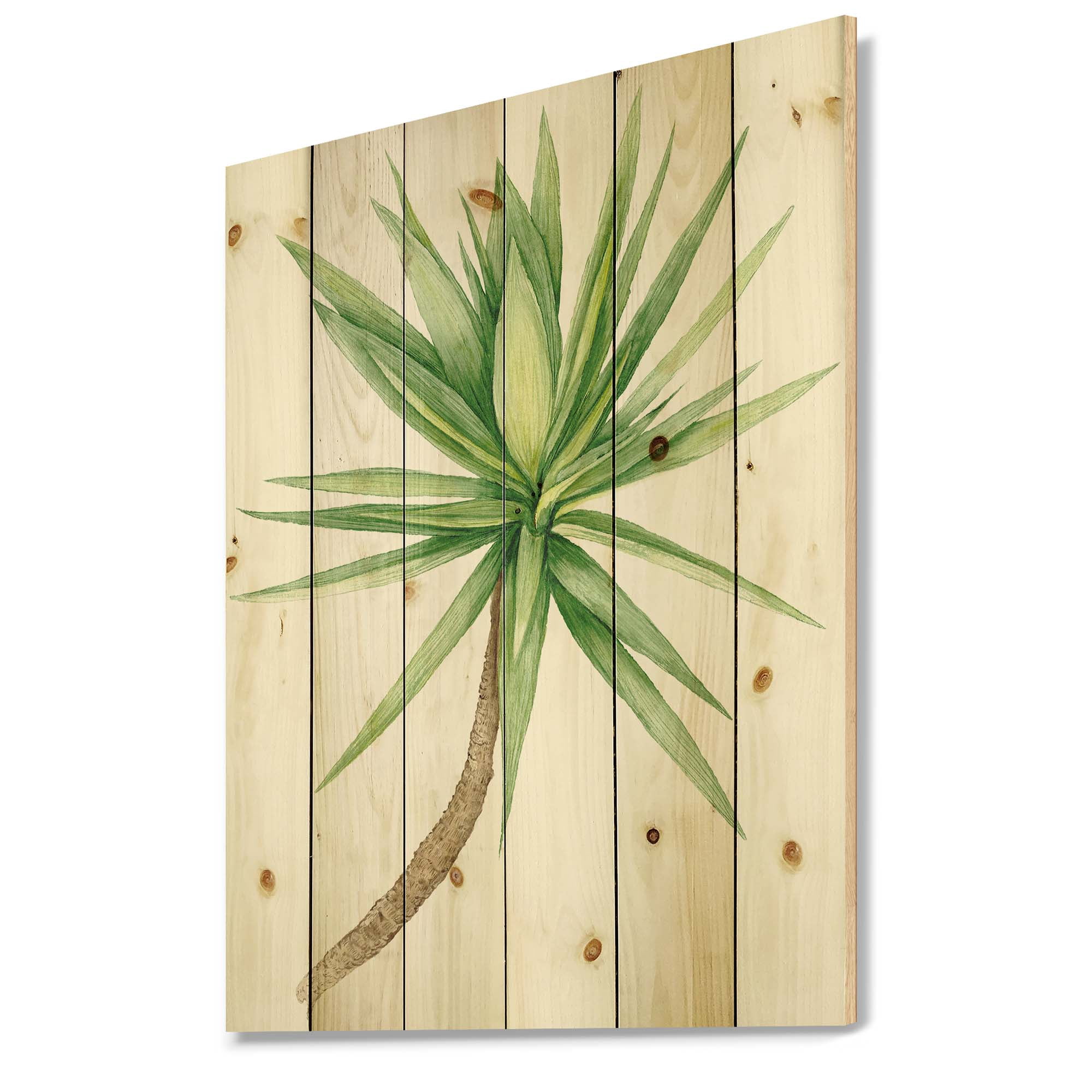Designart 'Close Up Of Yucca Tree' Traditional Print on Natural Pine Wood