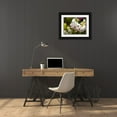 thumbnail image 3 of Grayscale 32x25 Black Ornate Wood Framed with Double Matting Museum Art Print Titled - White Cluster I, 3 of 4