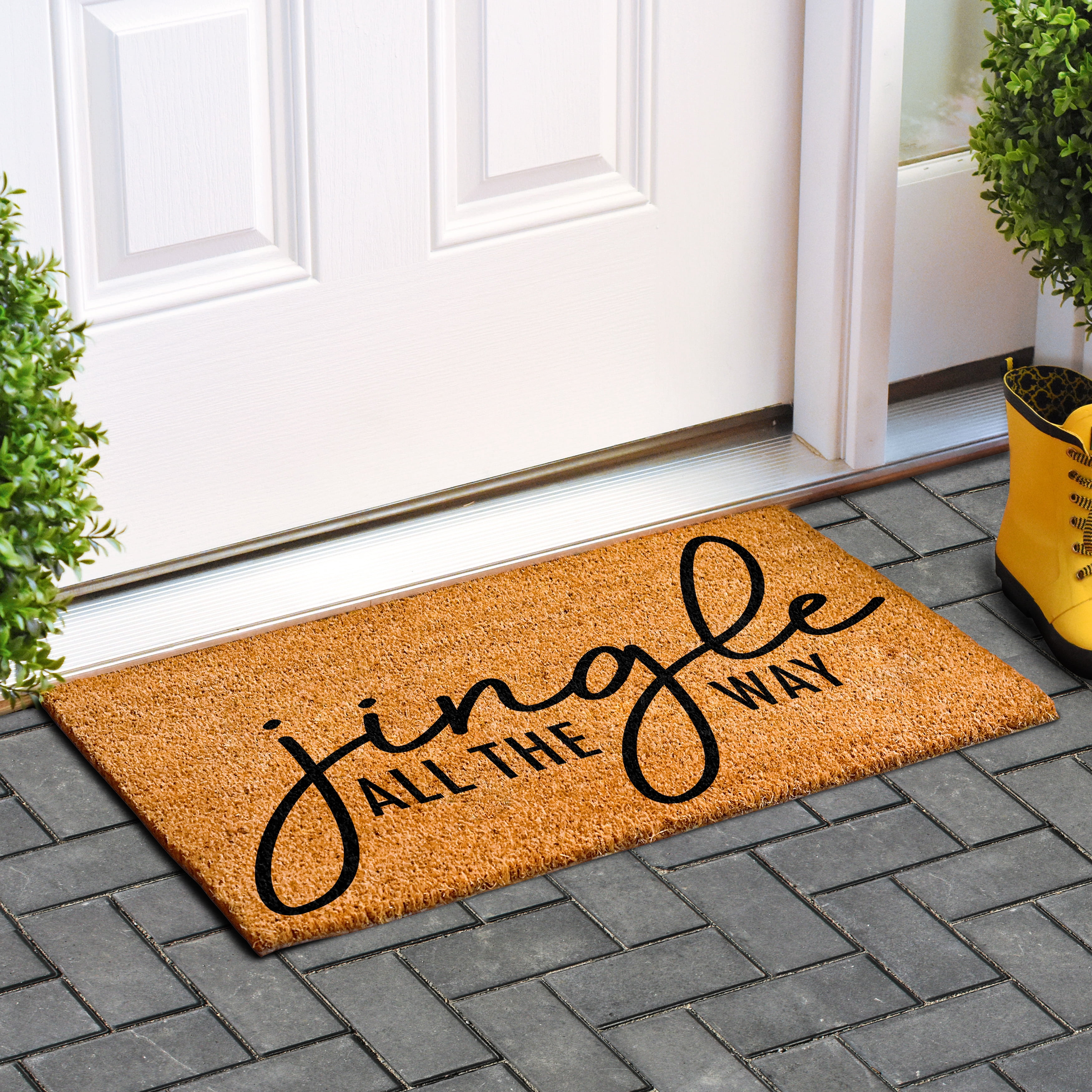 Calloway Mills 109133048 30 x 48 in. Jingle All the Way Rectangular Doormat, Multi Color