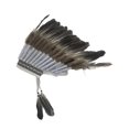 thumbnail image 1 of Tocado de plumas artificiales, sombrero de jefe , accesorio para cabeza para cosplay y escenario., 1 of 10