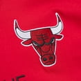 thumbnail image 5 of Men's Mitchell & Ness Dennis Rodman Red Chicago Bulls Premium Nickname T-Shirt, 5 of 6
