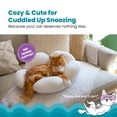 thumbnail image 2 of Catstages Purrfect Petals Flower Cat Bed with Plush Support and Raised Sides, White, 21 in - Secure, Soft, Comfortable Bed for Cats and Kittens, 2 of 8