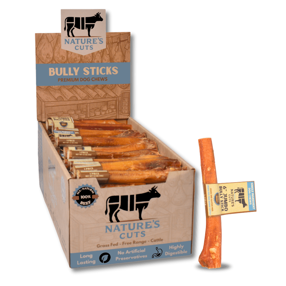 6" Jumbo Bully Sticks Display Box (60 ct) with Individual UPC Tags - 100% All Natural Beef