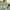 Green, variant on Odbmxy Long Sleeve Sweaters for Women 2024 Fall Sweaters for Women 2024 Knit Solid Color Loose Thick Black Sweaters