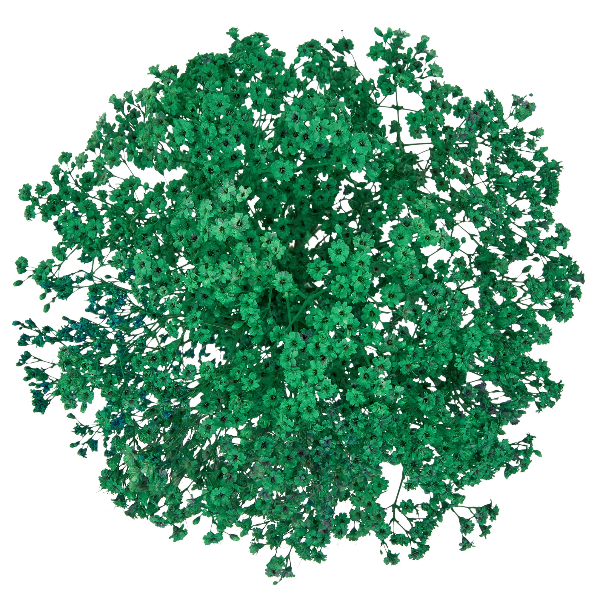 Baby's Breath (Gypsophila) Flower Bunch Small, Colors May Vary