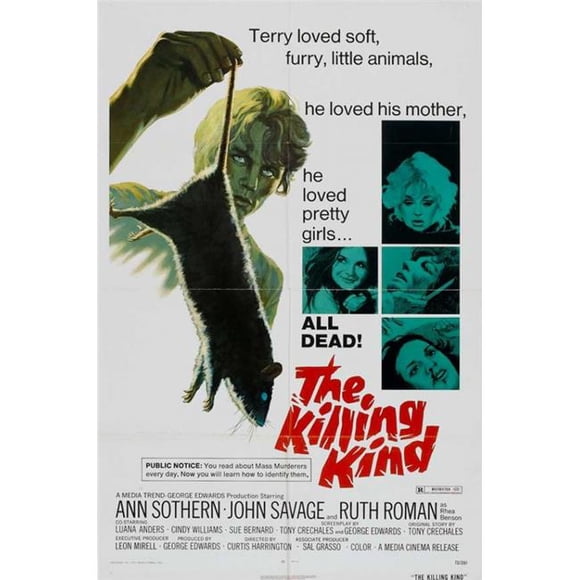Posterazzi MOVCB72410 The Killing Kind Movie Poster - 27 x 40 in.