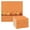Pumpkin Sticks, variant on IAUYY Set of 6 Highly Absorbent Kitchen Towels and Dishcloths Set ,11" x 11" Premium Dishcloths for Washing Dishes Rags Everyday and Automobile A Christmas Ball Pattern