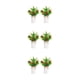thumbnail image 1 of Centros de limón falsos Bearachild 2 piezas fáciles de limpiar amplia aplicación interior o exterior manzanas pequeñas, 1 of 6