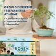 thumbnail image 4 of Garden Republic Bonsai Tree Kit, All-in-One Indoor Grow Kit, 4 of 7
