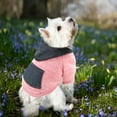 yuehao-pet-supplies-dog-hoodie-with-pocket-fall-winter-warm-sweater