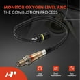thumbnail image 2 of A-Premium O2 Oxygen Sensor Replacement for Mercedes-Benz C240 C320 CLK320 CLK500 E320 E500 ML500 R500 SL55 AMG BMW M5 M6 Downstream 2-PC Set Fits select: 2006 MERCEDES-BENZ CLS, 2 of 9