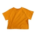 thumbnail image 3 of Toddler Baby Boys Girls Short Sleeve T-Shirt Summer Crewneck Solid Color Crewneck Baby Casual Pure Cotton T-Shirt 1 Piece Set for 9M-6T, 3 of 5