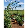 thumbnail image 6 of Gardener's Supply Company Titan Squash Tunnel, Over The Top Trellis 80" High, 6 of 9