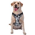 thumbnail image 1 of Fotbe Cartoon Raccoon Arnés para Perro con Estampado –Chaleco Ajustable Acolchado con Asa de Control para Perros Grandes-Medium, 1 of 6