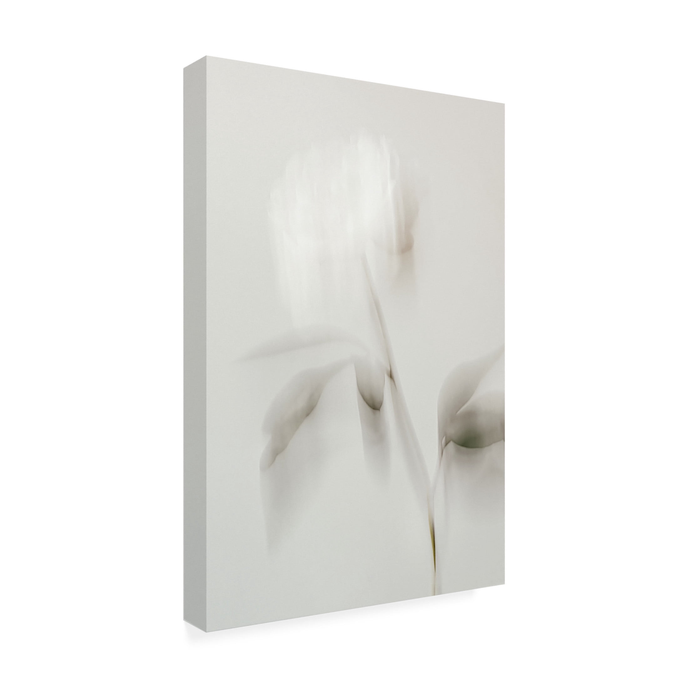 Trademark Fine Art Pictufy Studio III Peony 06 Canvas Wall Art