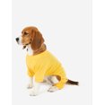 thumbnail image 4 of Pijama Leveret para perro, algodón, color liso, 4 of 5