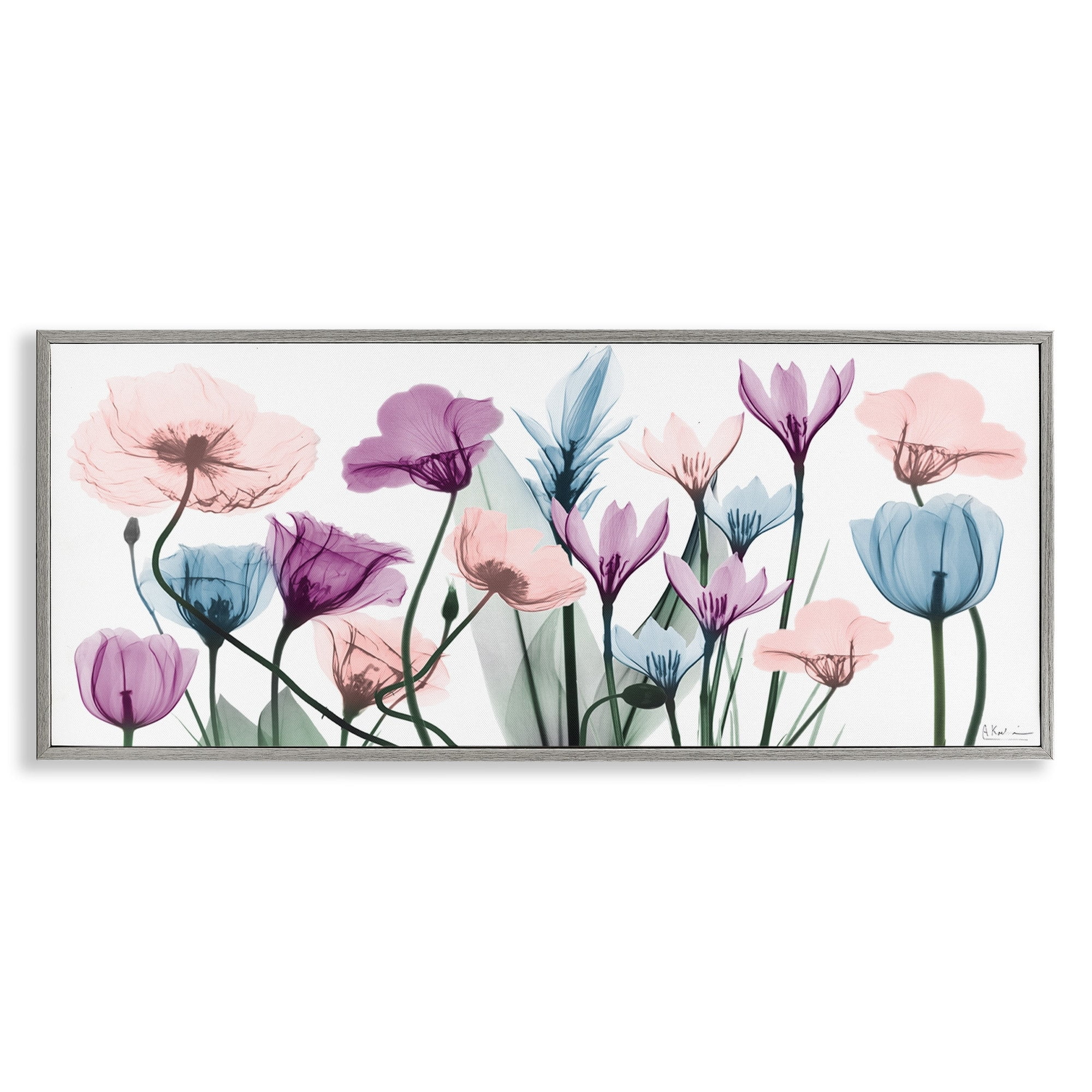 Stupell Industries Modern Translucent Pastel Tulips Flower Buds Blossoms Framed Wall Art, 24 x 10, Design by Albert Koetsier