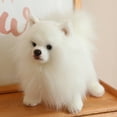 thumbnail image 4 of Peluche de perro Pomerania de la vida real, bonito y simulado, juguete de peluche Kawaii, cachorro suave, muñeco para niñas, regalos de Navidad, decoración del hogar, 4 of 5