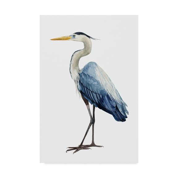 Trademark Fine Art 'Seabird Heron I' Canvas Art by Grace Popp