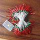 thumbnail image 1 of Cadena de luces LED de colores con pimiento rojo, luces intermitentes, luces decorativas para el ambiente navideño, iluminación para el diseño del hogar, 1 of 6