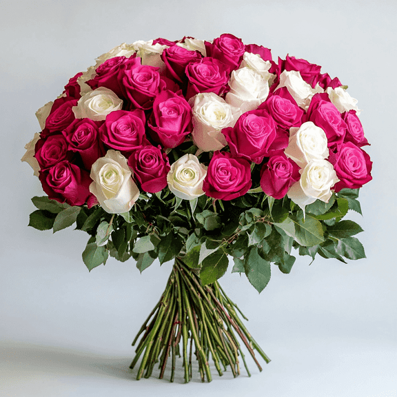 50 Stems of Roses: 25 Hot Pink and 25 White- Beautiful Fresh Cut Flowers- Next Day Delivery at Checkout
