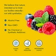 thumbnail image 3 of North American Herb & Spice 1738558 8 oz ScalpClenz Conditioner, 3 of 5