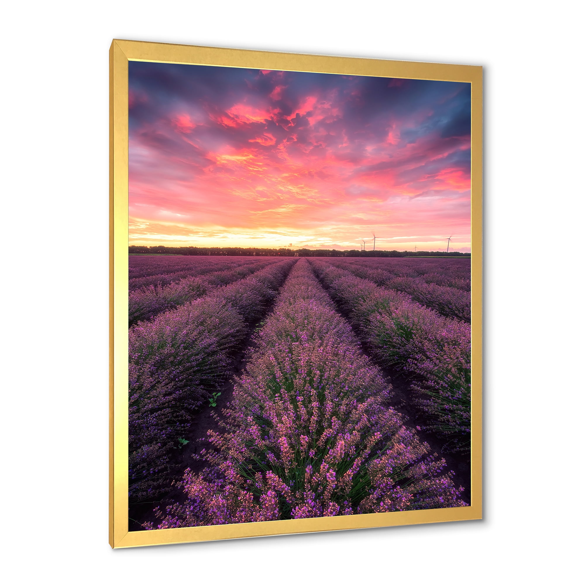 Designart 'Dramatic Clouds and Sunrise Over Lavender Field XIV' Farmhouse Framed Art Print