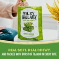 thumbnail image 5 of Wiley Wallaby Licorice 10 Ounce Classic Gourmet Soft & Chewy Australian Green Apple Licorice Candy Twists, 3 Pack, 5 of 7