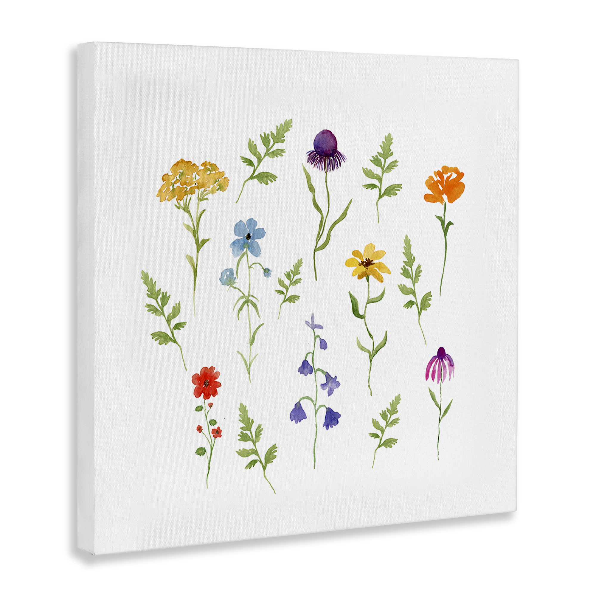 Stupell Industries Various Cottage Herbs Plants & Flowers Painting Wrapped Canvas Art Print Wall Art, 24 x 24