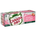 thumbnail image 4 of Canada Dry Caffeine Free Zero Sugar Fruit Splash Strawberry Ginger Ale Soda Pop, 12 fl oz, 12 Pack Cans, 4 of 7