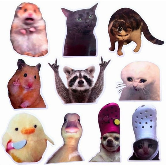 12PC Funny Meme Animals Fridge Magnets, Fun Cute Weird Magnetic Crying Cat Dog Hamster Duck Magnets for Gaming Kitchen Home Decor Bumper School Locker Work for Boys Girls Adult Accessories C52