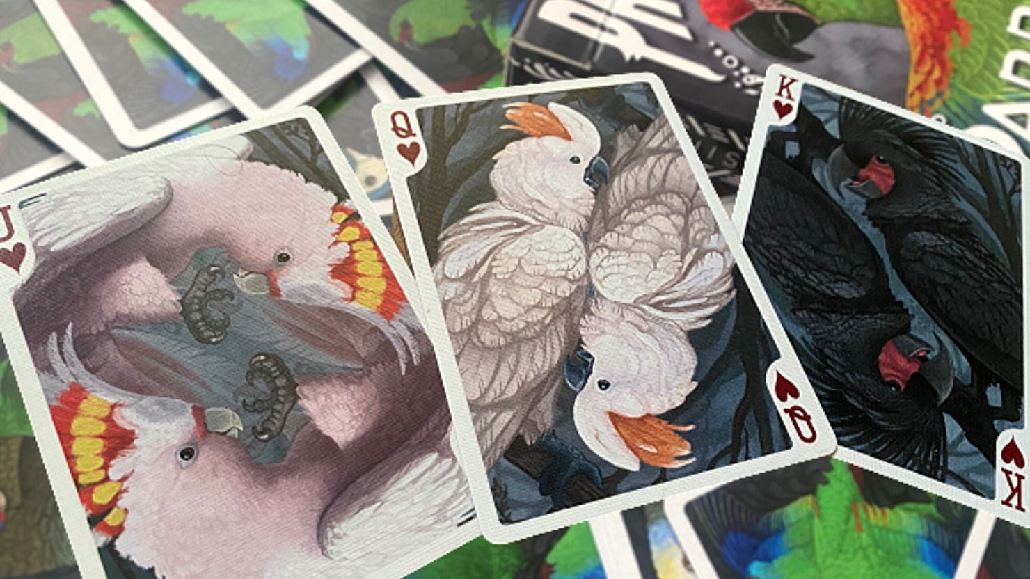 Parrot Prototype Playing Cards by Renee LeCompte