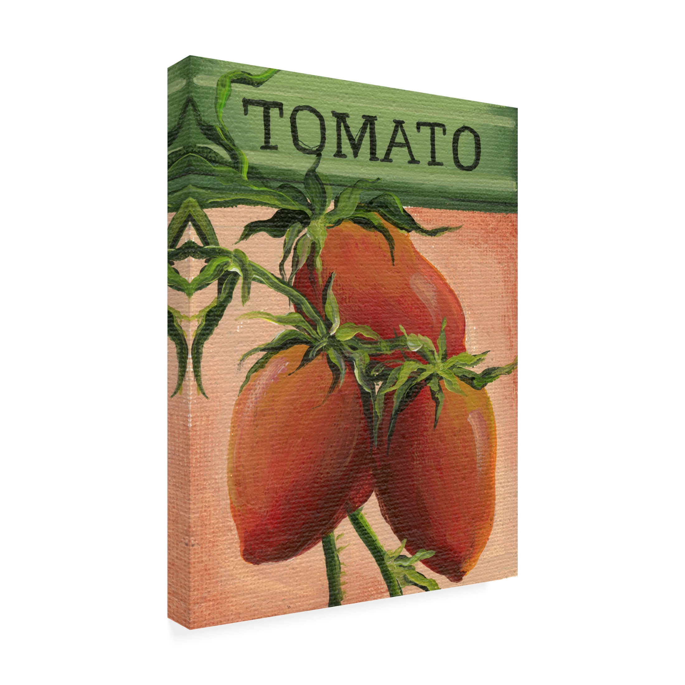 Canvas Wall Art - Debbi Wetzel 'Seed Packets 26 - Tomato' Wall Art for Living Room, Bedroom, or Office Décor by Trademark Fine Art - 35 x 47 Inches