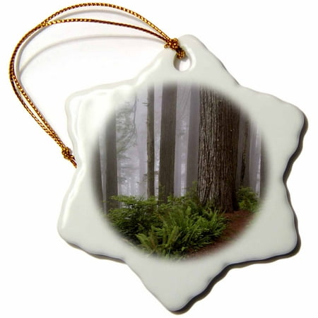 3dRose Path, Giant redwood trees, Redwood NP, California - US05 RKL0042 - Raymond Klass, Snowflake Ornament, Porcelain, (Best Place To See Giant Redwood Trees)