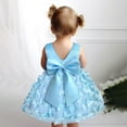 thumbnail image 3 of Tiijoy Newborn Girls Sleeveless Pageant Gown Party Evening Dress with 3D Butterfly Appliques, 3 of 5