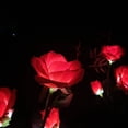 thumbnail image 3 of Juego de 2 luces solares para jardín, flores solares decorativas para exteriores, 3 rosas, decoración de jardín impermeable mejorada oso de fresa Electrónica, 3 of 5