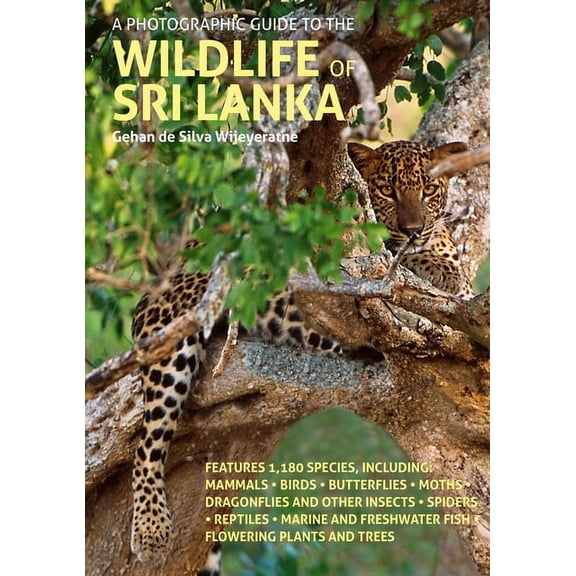 Wildlife Guides A Photographic Guide to the Wildlife of Sri Lanka, (Paperback)
