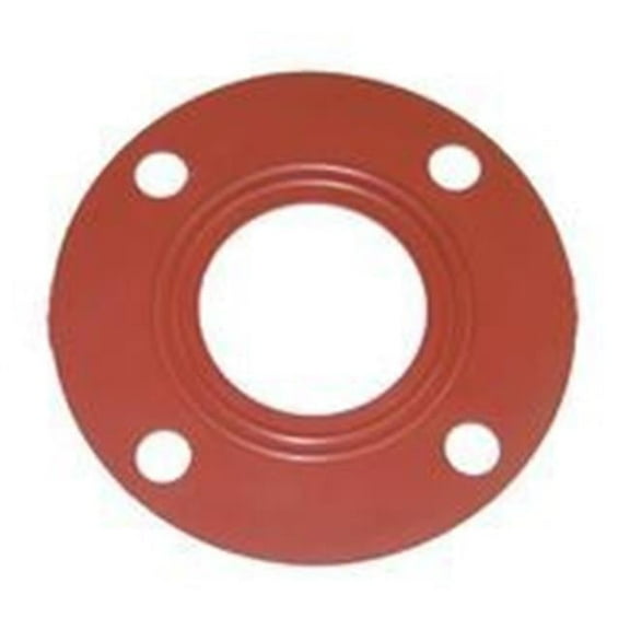 3 in. Flange Gasket