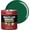 Hunter Green, variant on Evolve Alkyd Enamel Paint, Oil-Based Multi-Surface Interior & Exterior Paint for Wood, Metal & Concrete, Gloss Black, 1 Gallon